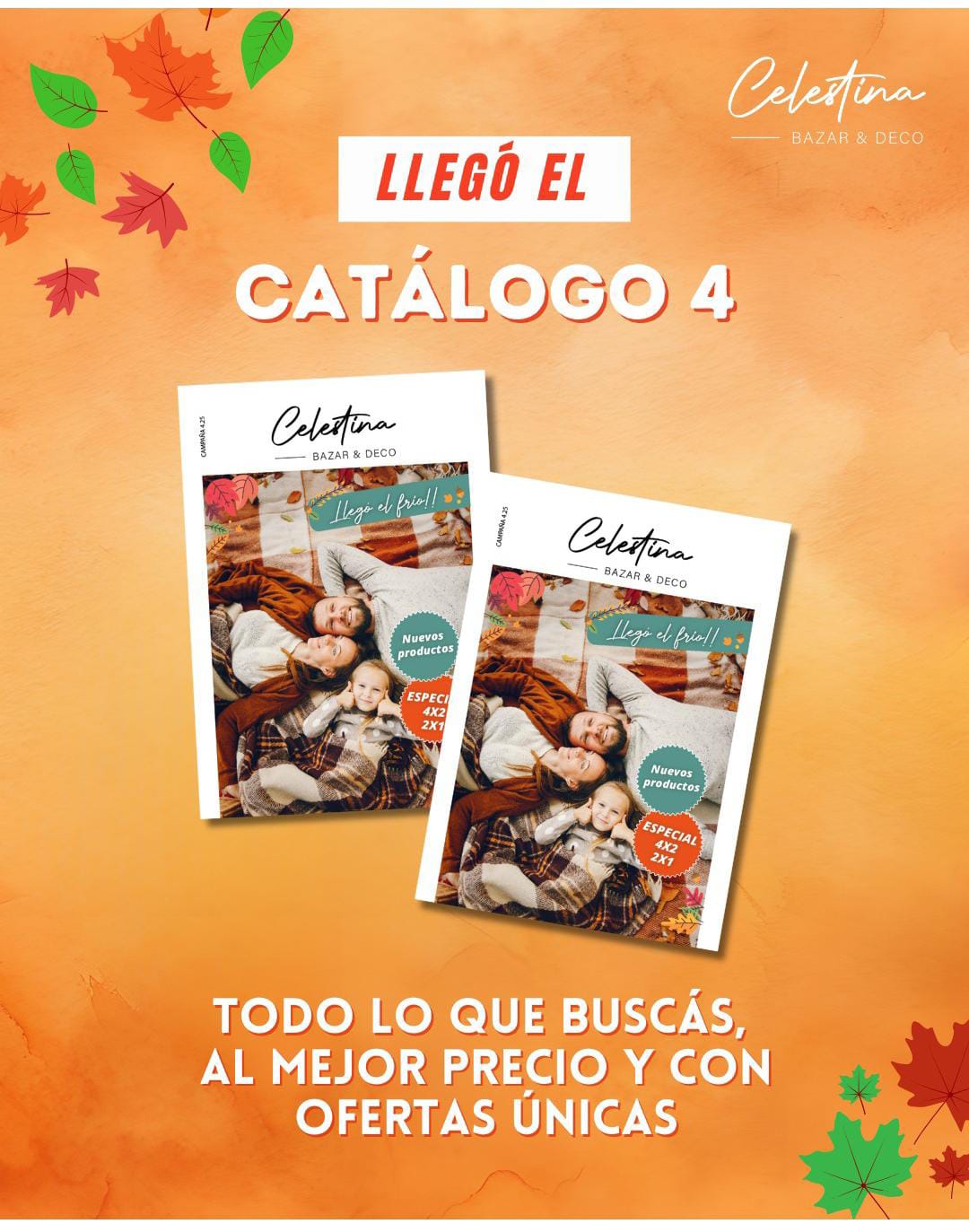 Campaña 04-25